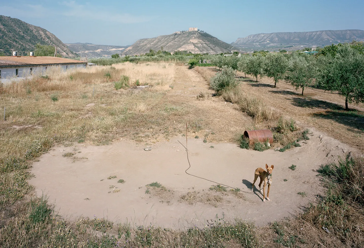 THE WAITING GAME III